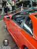 DSC07578.JPG